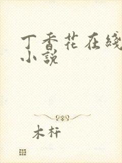 丁香花在线电影小说封面