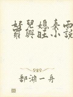 好儿媳秦雨罗明罗兴旺小说