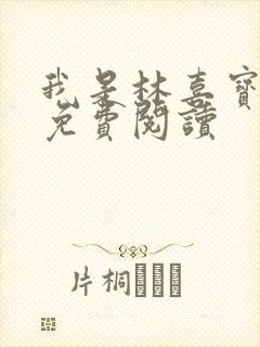 我是林喜宝小说免费阅读