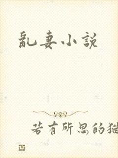 乱妻小说
