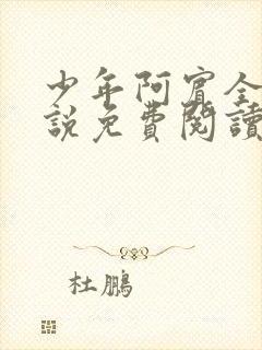 少年阿宾全文小说免费阅读笔趣阁