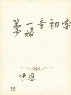 第一章初尝极品少妇