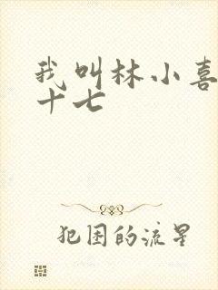 我叫林小喜今年十七