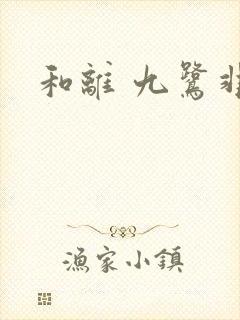 和离 九鹭非香封面