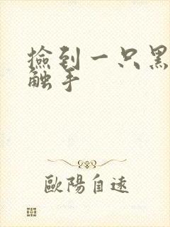 捡到一只黑心小触手