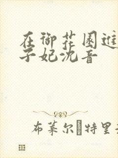 在御花园进入太子妃沈音