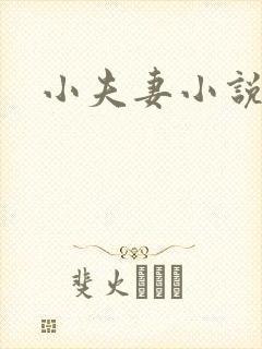 小夫妻小说