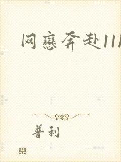 网恋奔赴11h封面