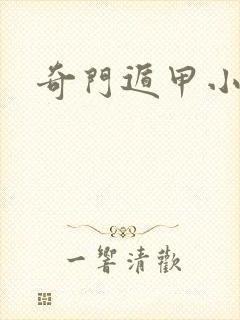 奇门遁甲小说封面