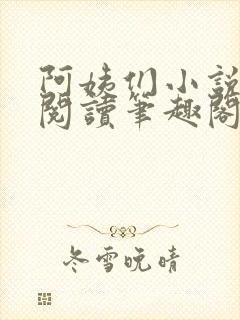 阿姨们小说全文阅读笔趣阁