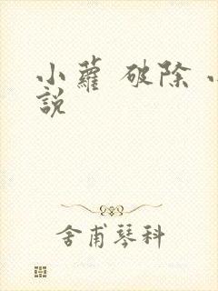 小萝 破除 小说封面