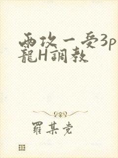 两攻一受3p双龙H调教