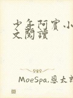 少年阿宾小说全文阅读