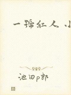 一号红人 小说