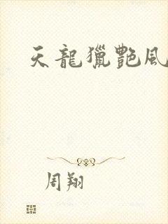 天龙猎艳风流封面