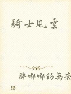骑士风云
