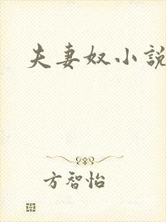 夫妻奴小说封面