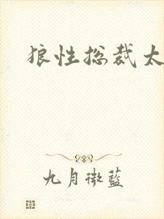 狼性总裁太凶猛