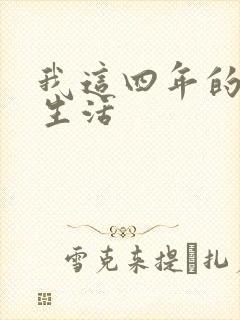 我这四年的奴隶生活封面