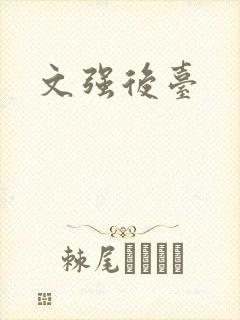 文强后台封面