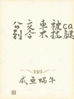 公交车被cao到合不拢腿视频封面