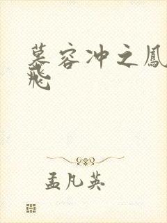 慕容冲之凤凰于飞