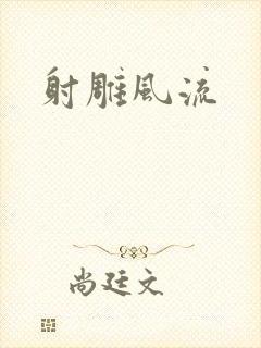 射雕风流