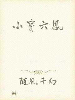 小宝六凤封面