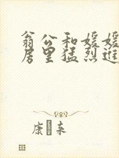 翁公和媛媛在厨房里猛烈进出