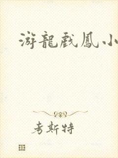 游龙戏凤小说封面