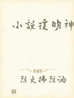 小说琼明神女录