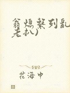 翁熄系列乱 (老扒)