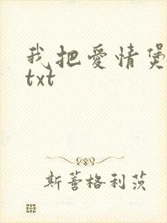 我把爱情煲成汤txt