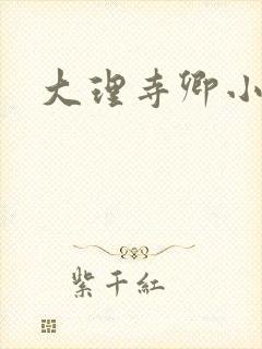 大理寺卿小说封面