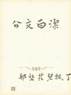 公交白洁