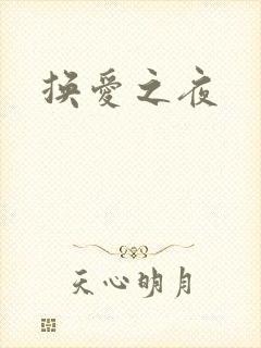 换爱之夜