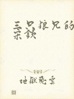 三只狼兄的宠妻宋钦