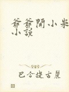 爷爷开小米的包小说