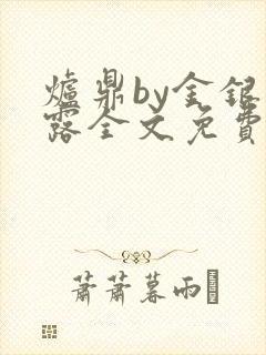 炉鼎by金银花露全文免费阅读笔趣阁