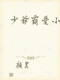 少爷霸爱小丫头封面