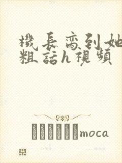 机长脔到她哭h粗话h视频封面