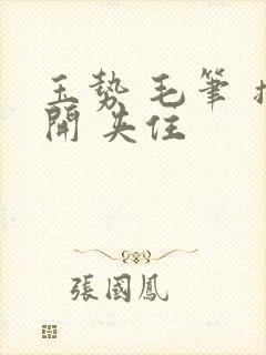 玉势 毛笔 撑开 夹住封面