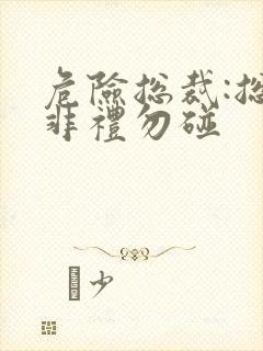 危险总裁:总裁非礼勿碰封面