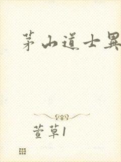 茅山道士异界游