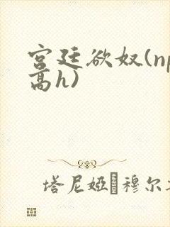 宫廷欲奴(np高h)