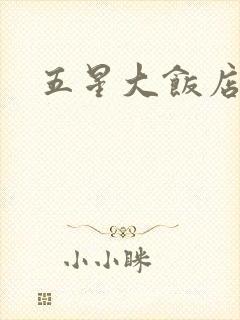 五星大饭店小说