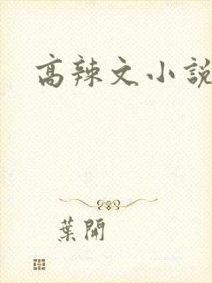 高辣文小说