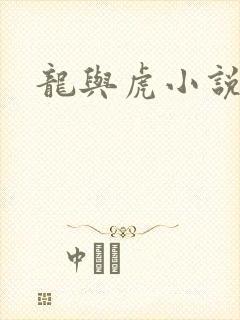 龙与虎小说