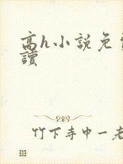 高h小说免费阅读