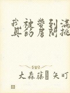 我被带到满是玩具的房间挑调作文